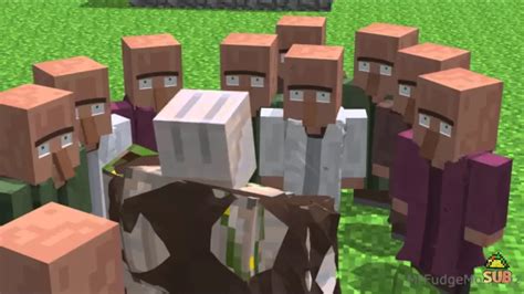 stupid villager|Annoying Villagers Wiki .